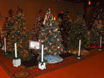 Festival of trees Festival of trees