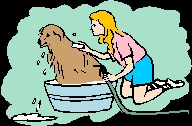 dogbath