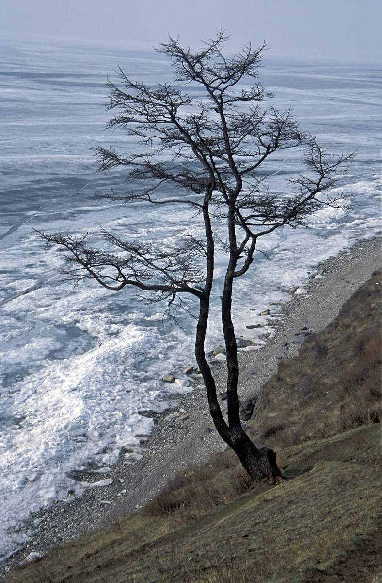 winter_2009.jpg