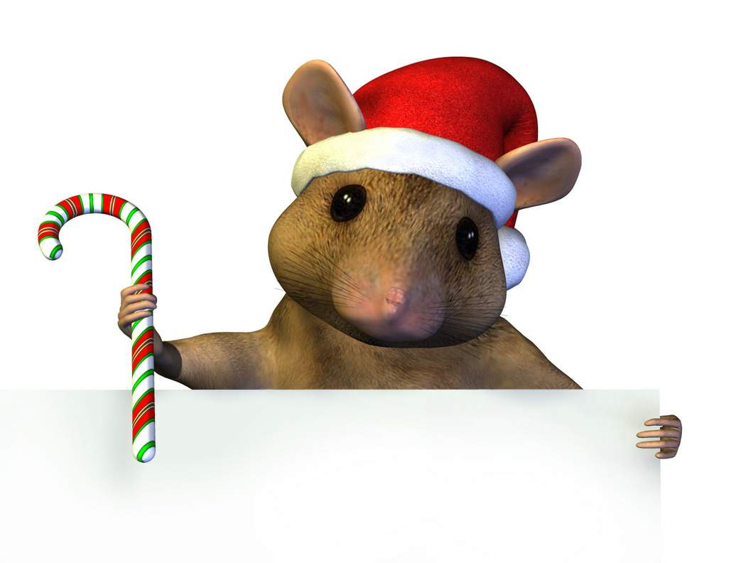 christmas_mouse.jpg