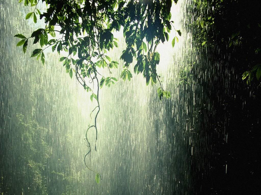 rain.jpg